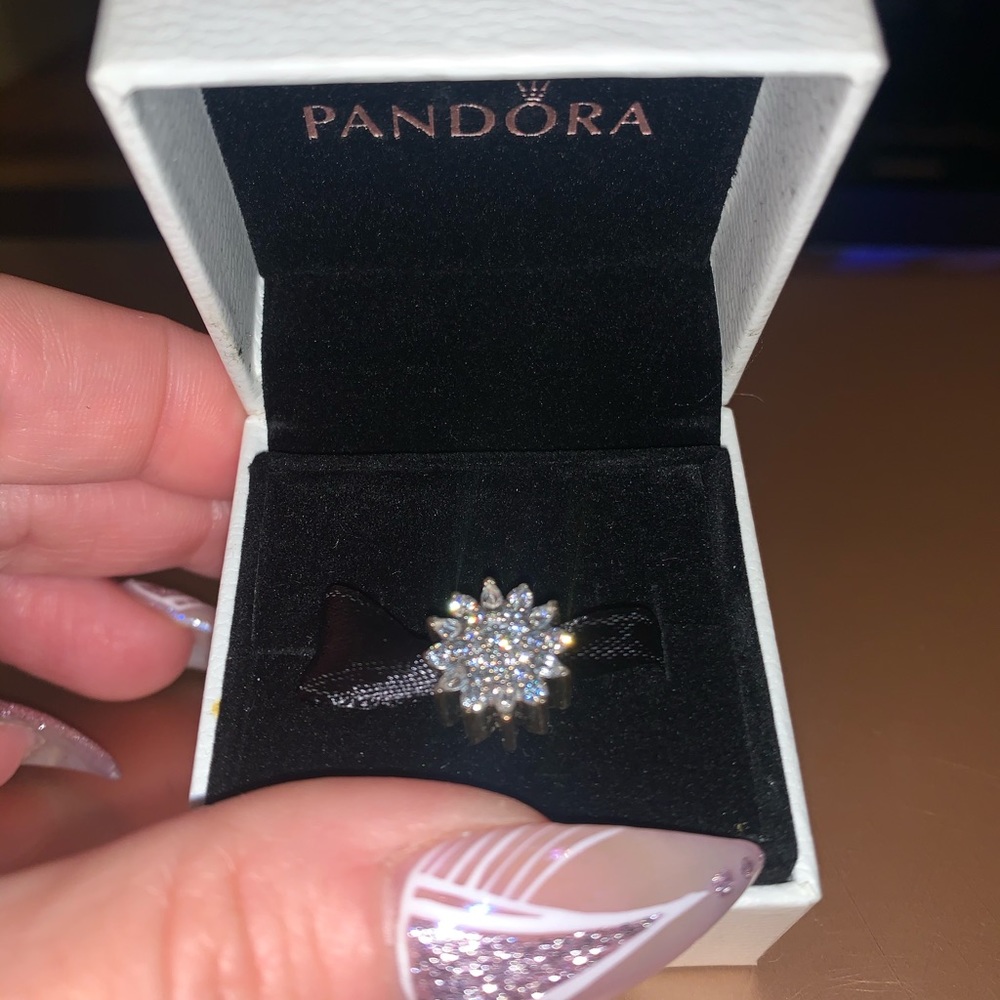 BNIB 😍😍😍 Gorgeous Pandora Rare Retired Charm
